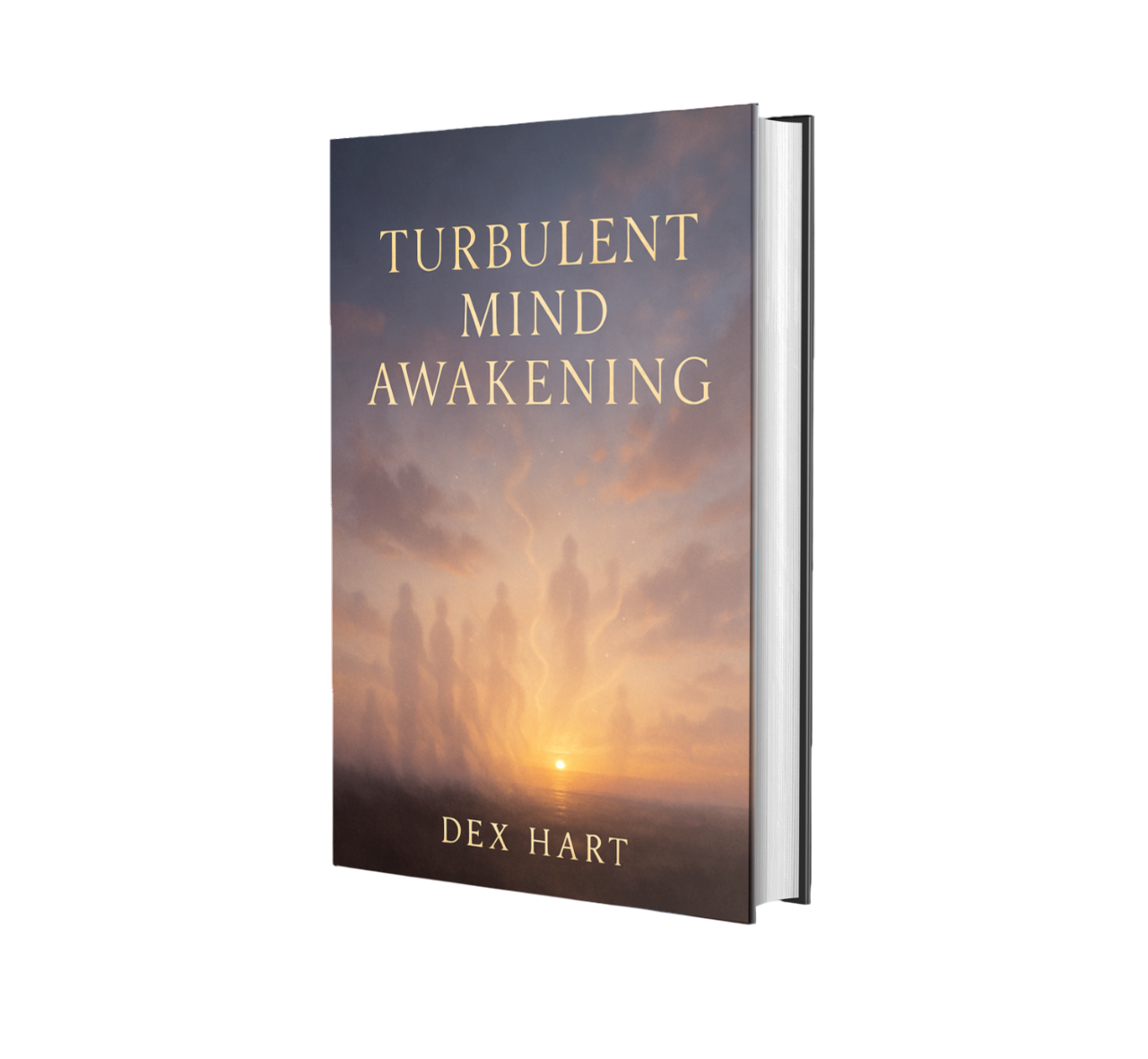 Turbulent Mind Awakening